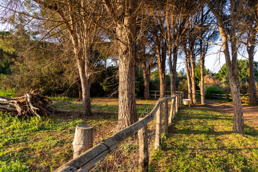 0 Bedroom Property for Sale in Somerset West Rural Western Cape